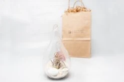 Gift Wrapped Terrarium Kits With Tillandsia Air Plants -Air Plant World Air Plant Tillandsia Accessory 73