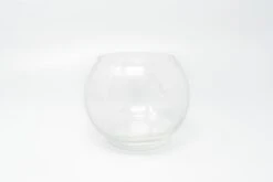 Complete Bubble Trio Terrariums With Tillandsia Juncea, Butzii, And Harrisii Air Plants 10 Complete Bubble Trio Terrariums With Tillandsia Juncea, Butzii, And Harrisii Air Plants -Air Plant World Air Plant Tillandsia Accessory Bubble Bowl Terrarium 2