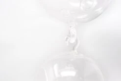 Terrarium Trio With Double Hooks And Tillandsia Juncea, Bulbosa, & Ionantha Air Plants -Air Plant World Air Plant Tillandsia Accessory Double Hook Terrarium 1 94064cb6 145e 4bca ae48 20975402c0a1