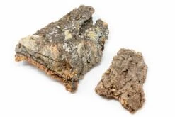 Natural Cork Bark Displays & Waterproof Glue - Create A Unique Vertical Garden Display! -Air Plant World Cork Bark 3 4b1d640e b04f 40d0 9ade de1df432a159