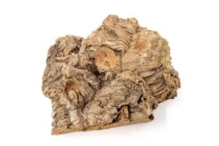 Medium Tabletop Cork Bark Display With 3 Tillandsia Air Plants -Air Plant World Cork Bark Display 14