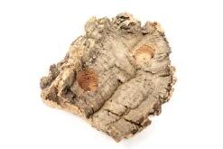 SALE - Small Tabletop Cork Bark Display With 2 Tillandsia Air Plants - Set Of 3 Or 6 - 40% Off -Air Plant World Cork Bark Display 3