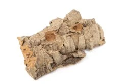 SALE - Small Tabletop Cork Bark Display With 2 Tillandsia Air Plants - Set Of 3 Or 6 - 40% Off -Air Plant World Cork Bark Display 5