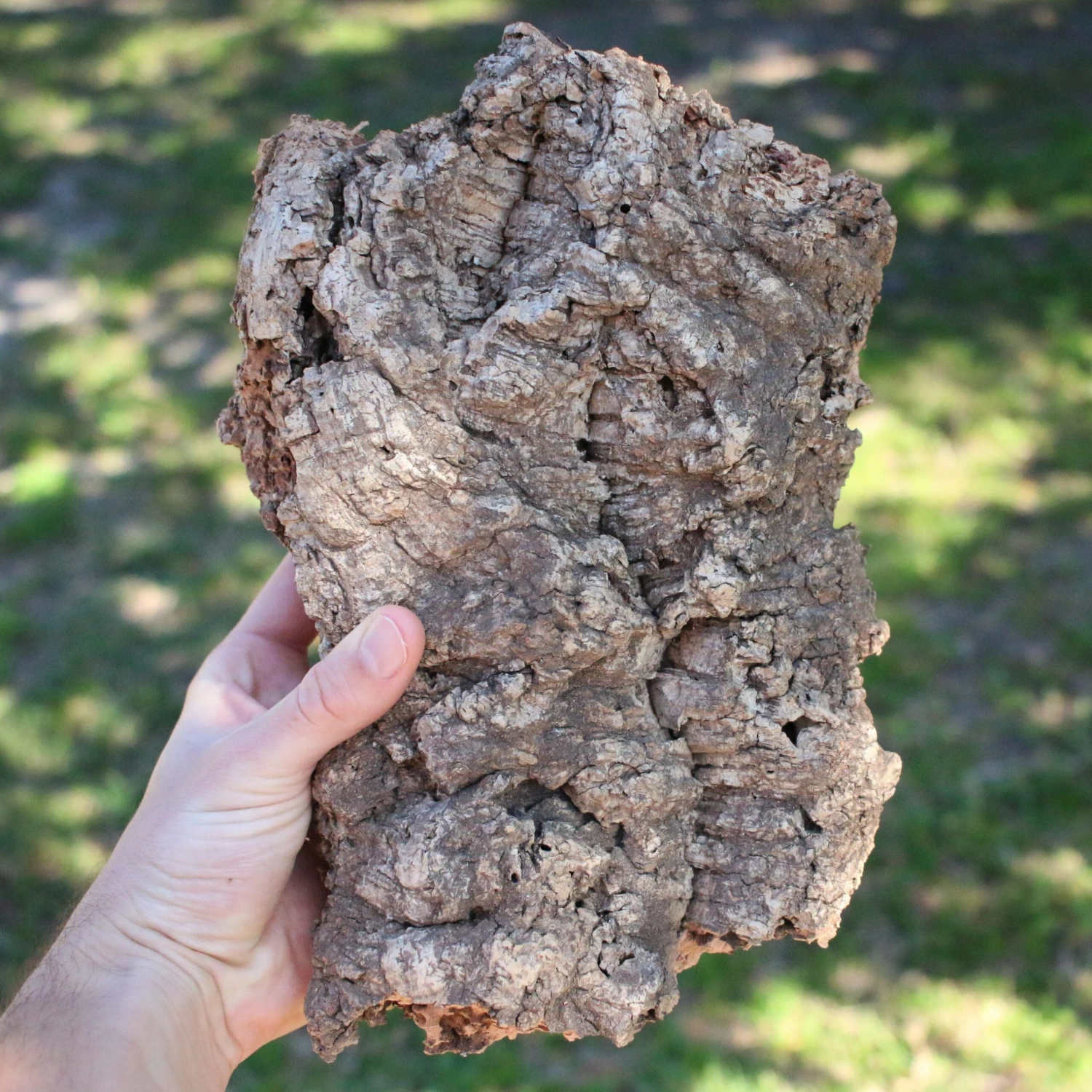 Natural Cork Bark Displays & Waterproof Glue - Create A Unique Vertical Garden Display! - Image 7