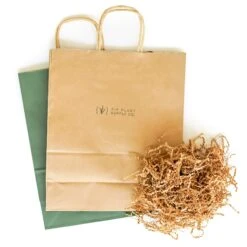 Gift Wrapped Air Plant Grab Bag Of 10 Small & Medium Plants, Tillandsia Fertilizer & Air Plant Mister -Air Plant World Gift Bag d4028dc8 105f 41b1 9344 7370adc3f3af