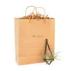 Gift Wrapped Hanging Metal Pendant With Assorted Tillandsia Air Plants