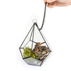 DIY Glass Diamond Terrarium -Air Plant World Glass Diamond Terrarium Kit 1