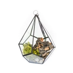 Glass Diamond Terrarium -Air Plant World Glass Diamond Terrarium Kit 2