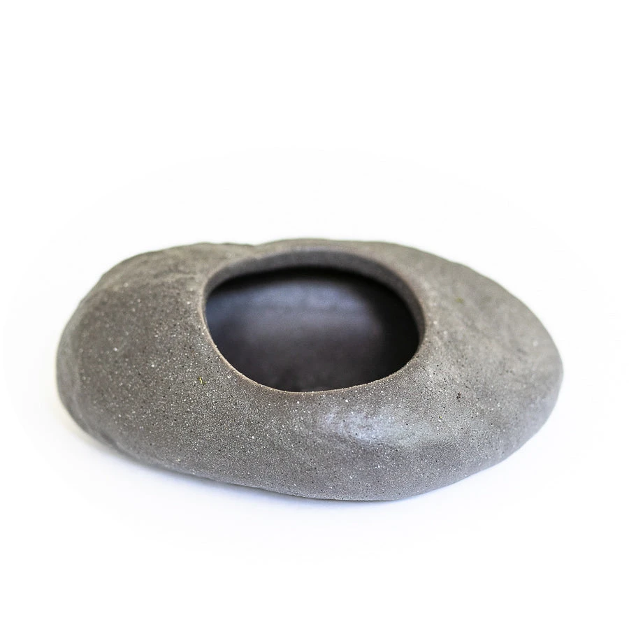 Gray Ceramic Stone With Assorted Tillandsia Air Plant 4 Gray Ceramic Stone With Assorted Tillandsia Air Plant - Image 4