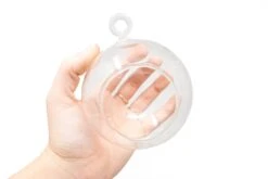 Minimalist Terrarium In A Glass Globe With Flat Bottom - Choose Your Custom Tillandsia Air Plant -Air Plant World HangingRoundBottomGlassTerrariums 4