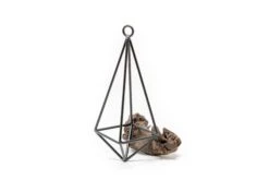 Hanging Metal Pendant With Assorted Tillandsia Air Plants -Air Plant World Hanging Metal Pendant 1 8b940c75 62a4 4128 a679 d351486c5613