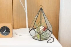 Glass Diamond Terrarium -Air Plant World Hotel Lifestyle Wholesale 30 fb6f0ce6 b184 4a21 b8e8 e304cc4b0466