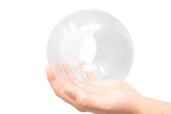 Large Hand-Blown Glass Terrarium With 2 Open Ends