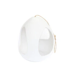 Large White Ceramic Hanging Pod With Tillandsia Xerographica -Air Plant World Large White Ceramic Hanging Pod 3 7e4e6cba 86c4 4bbf 8155 1f7459b25475