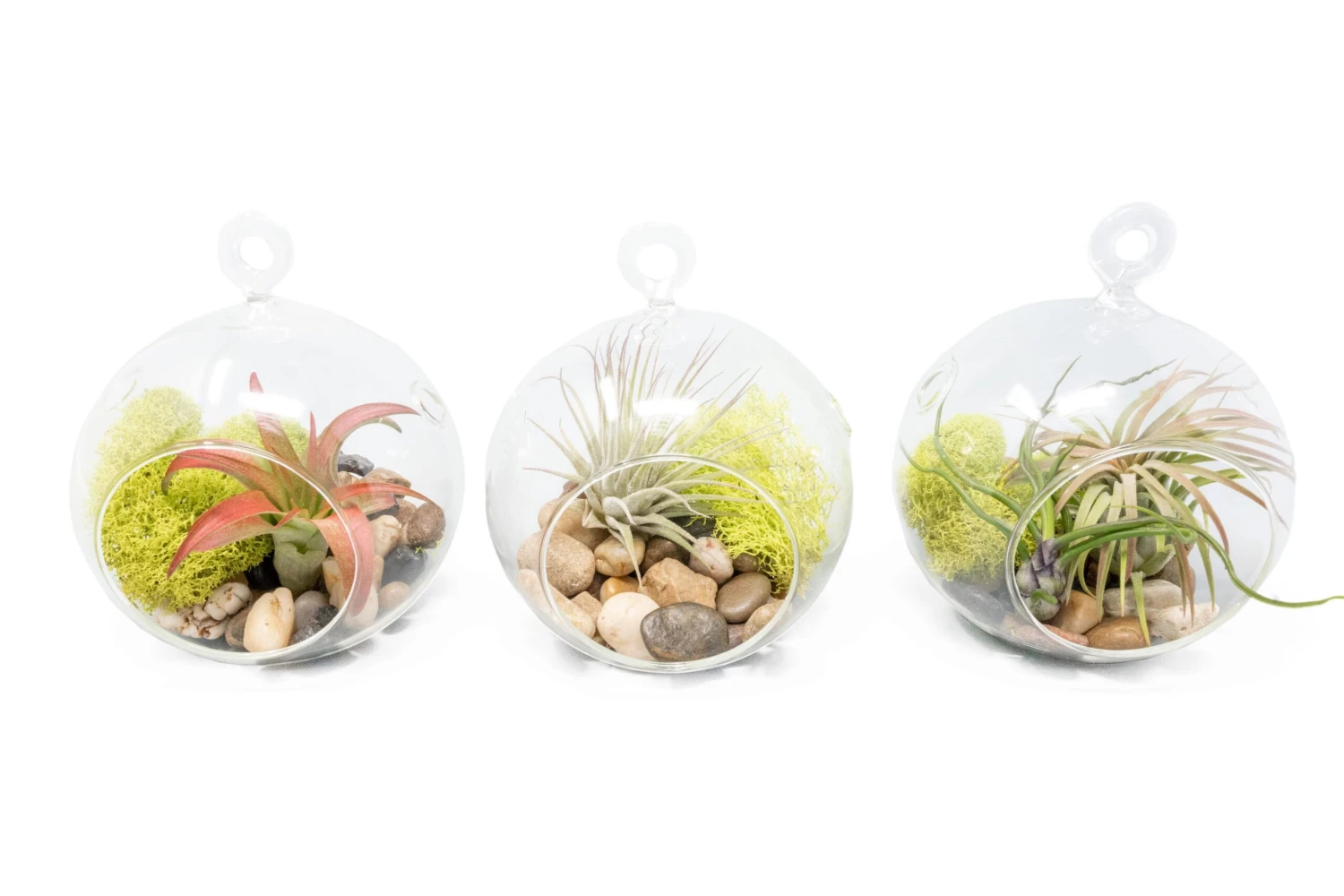 Set Of 3 Stunning Hanging Glass Terrariums With Flat Bottoms 1 Set Of 3 Stunning Hanging Glass Terrariums With Flat Bottoms