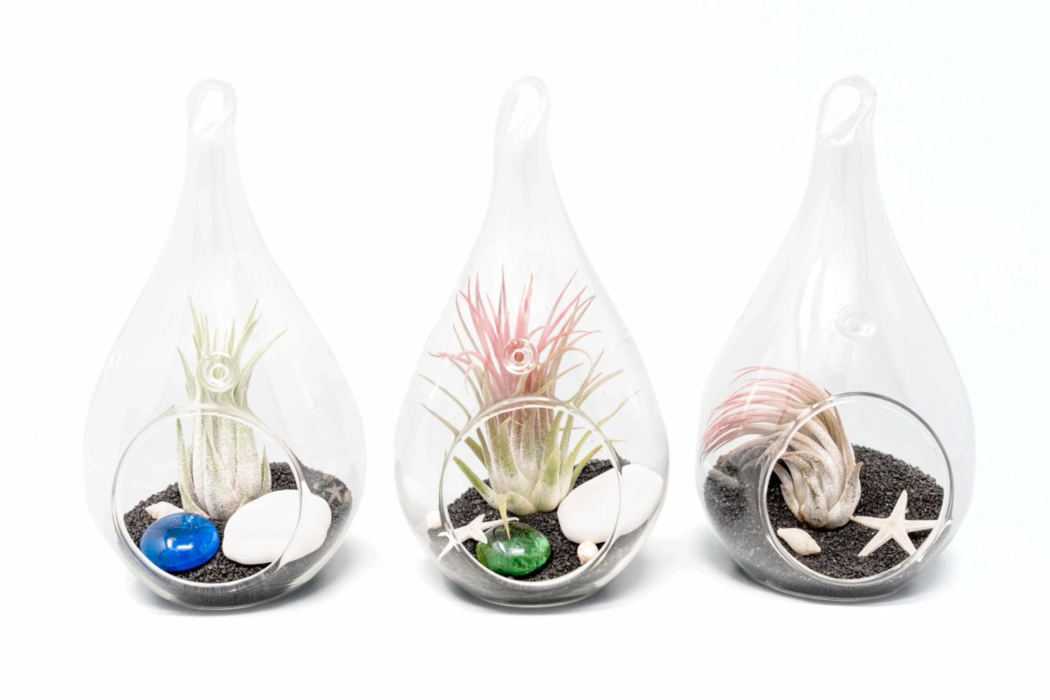 Set Of 3 Teardrop Beach Terrariums With Black Sand 1 Set Of 3 Teardrop Beach Terrariums With Black Sand