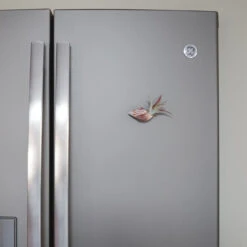 Set Of 3 Seashell Magnets With Tillandsia Air Plants -Air Plant World Shell Magnet Tillandsia Air Plant 6