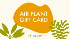 Air Plant World -Air Plant World SupplyGiftCard 1 1