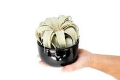Black Glazed Terracotta Pot With Tillandsia Xerographica Air Plant