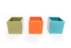 Set Of 3 Ceramic Cube Containers With Custom Tillandsia Air Plants / Avocado Green + Sky Blue + Naranja Orange -Air Plant World Tillandsia Air Plant Ceramic Container 1 8edf21db 2098 47e8 b232 dd0bfff85675