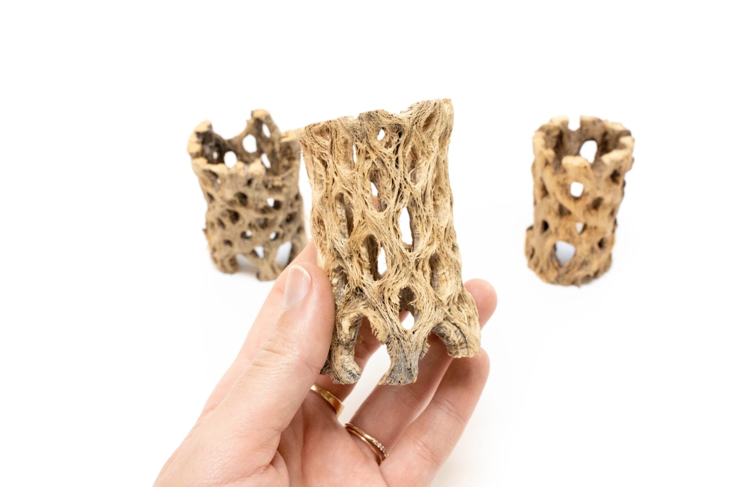 Natural Cholla Wood Container - 3 Inches Tall 3 Natural Cholla Wood Container - 3 Inches Tall - Image 3