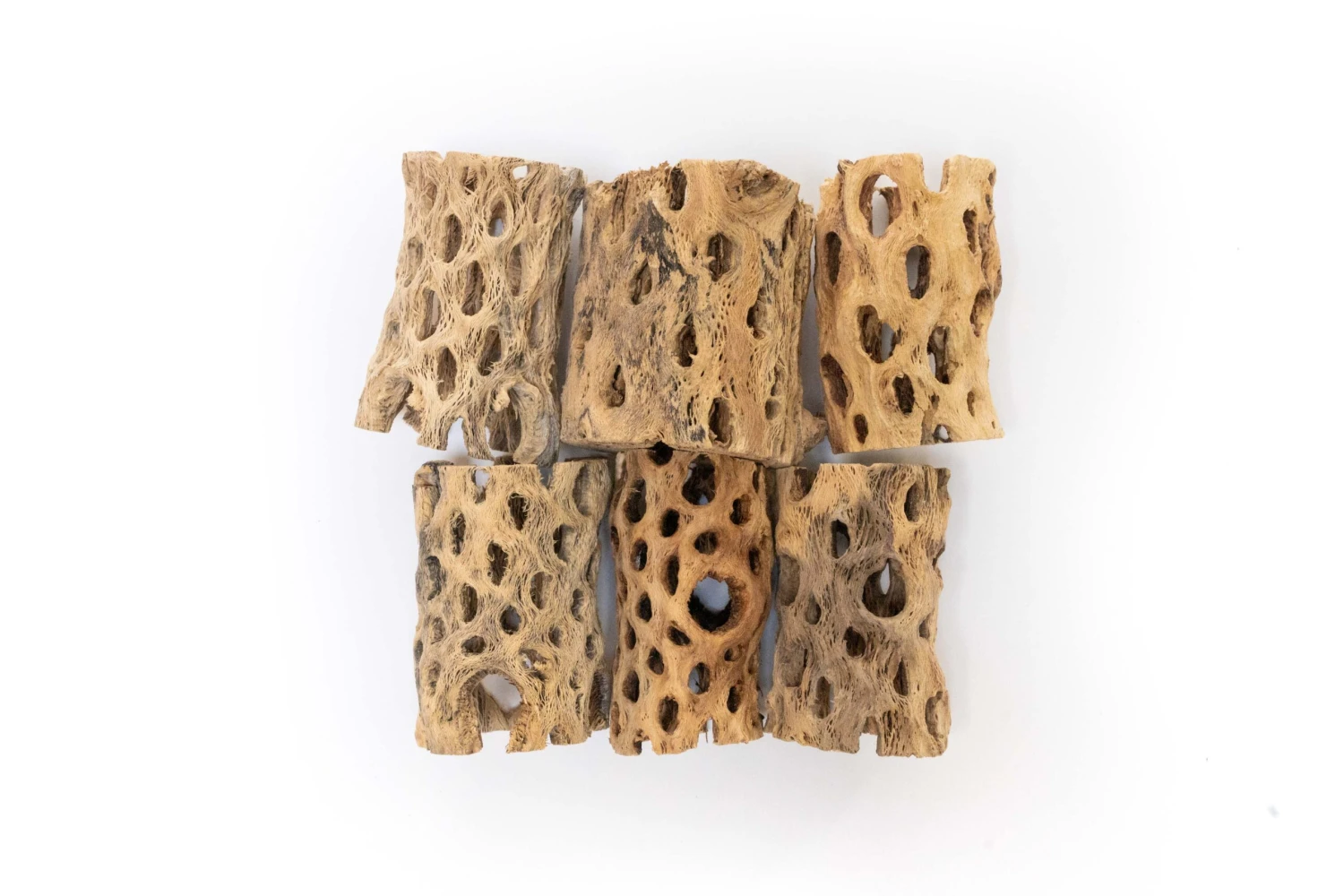 Natural Cholla Wood Container - 3 Inches Tall 5 Natural Cholla Wood Container - 3 Inches Tall - Image 5