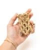 Natural Cholla Wood Container - 3 Inches Tall