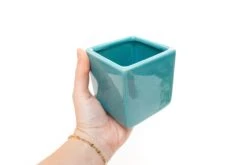 Sky Blue Ceramic Cube Container With Custom Tillandsia Air Plant 13 Sky Blue Ceramic Cube Container With Custom Tillandsia Air Plant -Air Plant World Tillandsia Air Plant Color Cube 50 1