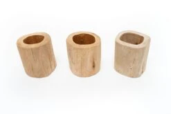 Driftwood Tillandsia Air Plant Or Succulent Container -Air Plant World Tillandsia Air Plant Driftwood Container 2