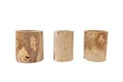 3 Small Driftwood Containers With 3 Assorted Tillandsia Air Plants 10 3 Small Driftwood Containers With 3 Assorted Tillandsia Air Plants -Air Plant World Tillandsia Air Plant Driftwood Container Display 3