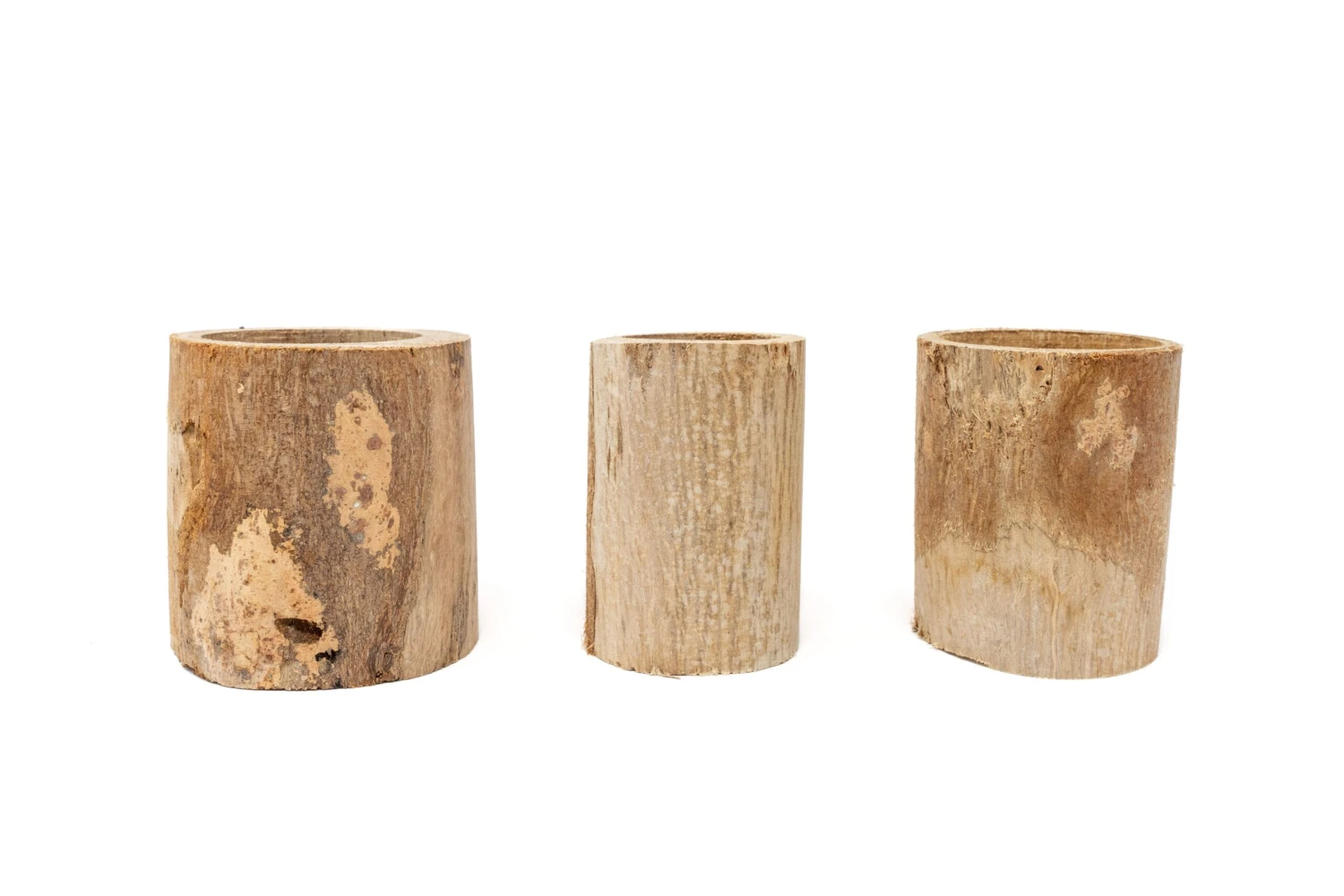 3 Small Driftwood Containers With 3 Assorted Tillandsia Air Plants 4 3 Small Driftwood Containers With 3 Assorted Tillandsia Air Plants - Image 4