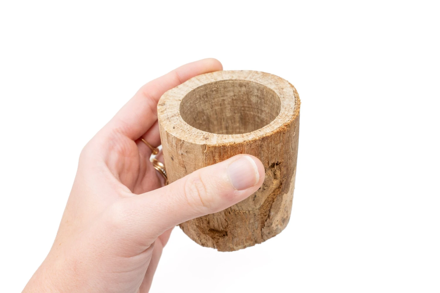 3 Small Driftwood Containers With 3 Assorted Tillandsia Air Plants 6 3 Small Driftwood Containers With 3 Assorted Tillandsia Air Plants - Image 6