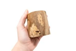 Small Driftwood Container - Choose Your Custom Tillandsia Air Plant -Air Plant World Tillandsia Air Plant Driftwood Container Display 7 6d2f5b30 b8f8 4c8e 8167 0b4c99819e08