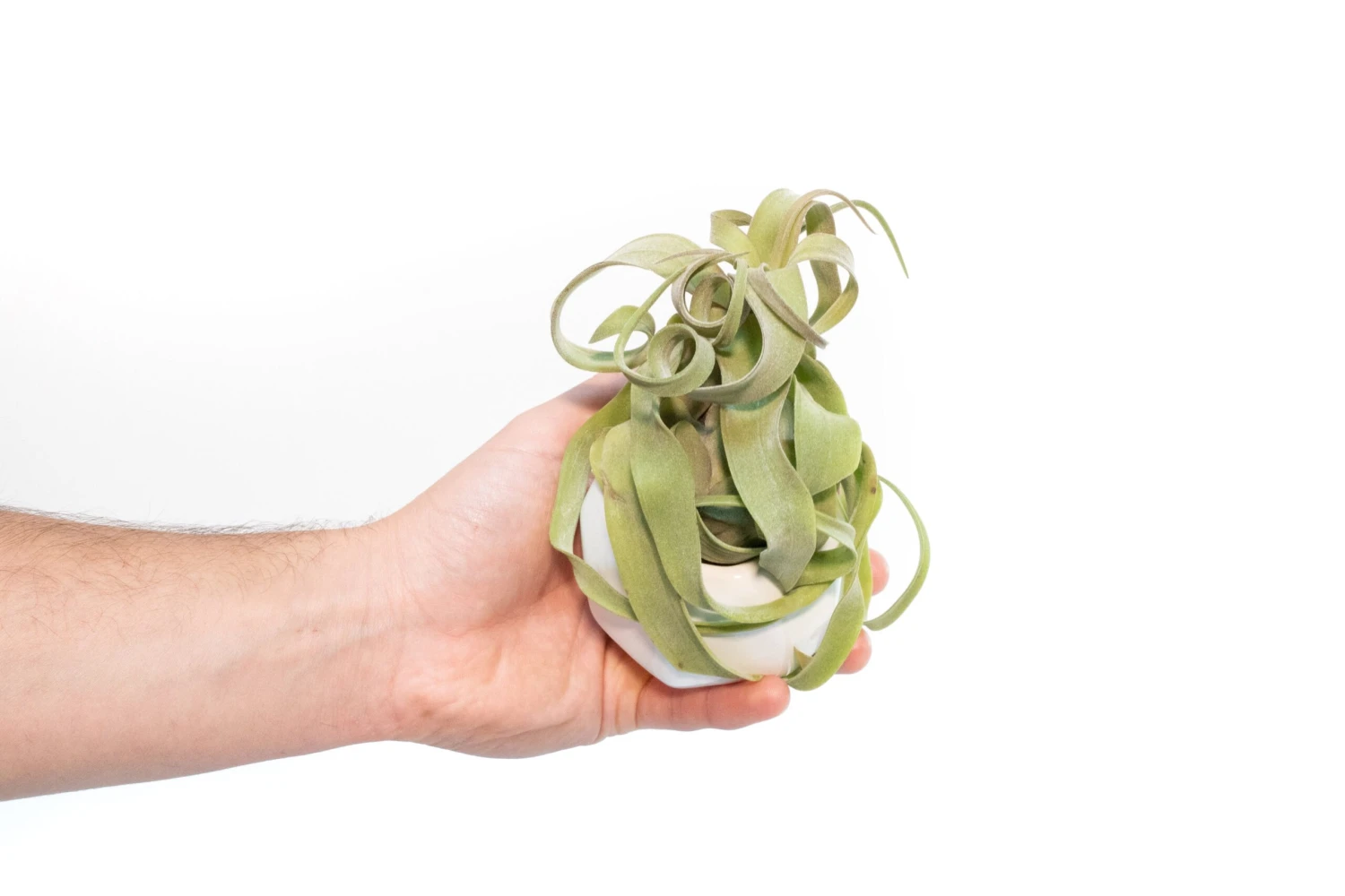 White Geometric Ceramic Container 2 White Geometric Ceramic Container - Image 2