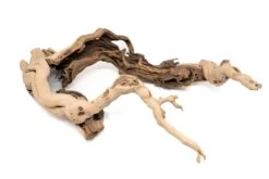 Large Multi-Branched Grapewood Display - Choose Custom Tillandsia Air Plants -Air Plant World Tillandsia Air Plant Grapevine Wood Display Large Multiple 8 1