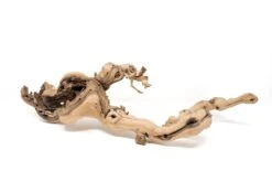 Medium Multi-Branched Grapewood Display With 3 Assorted Tillandsia Air Plants 16 Medium Multi-Branched Grapewood Display With 3 Assorted Tillandsia Air Plants -Air Plant World Tillandsia Air Plant Grapevine Wood Display Medium Multiple 7