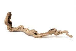 Medium Single Branch Grapewood Display - Choose Custom Tillandsia Air Plants 11 Medium Single Branch Grapewood Display - Choose Custom Tillandsia Air Plants -Air Plant World Tillandsia Air Plant Grapevine Wood Display Medium Single 9