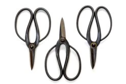 Bonsai-Style Pruning Scissors For Tillandsia Air Plants -Air Plant World Tillandsia Air Plant Scissors Tools 1 2
