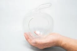 Apple Terrarium With Pebble Kit And Tillandsia Air Plants -Air Plant World Tillandsia Air Plant Terrarium Apple 1