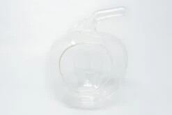 Apple Terrarium With Pebble Kit And Tillandsia Air Plants -Air Plant World Tillandsia Air Plant Terrarium Apple 2