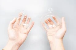 Mini Hanging Flat Bottom Glass Terrariums With Assorted Tillandsia Air Plants -Air Plant World Tillandsia Air Plant Terrarium Kit 55 e88056cf bdb2 49ed 98df c132f57c437c