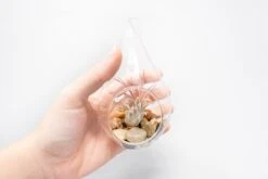 SALE - Set Of 3 Airy Teardrop Terrariums With Flat Bottoms -Air Plant World Tillandsia Air Plant Terrarium Kit 7
