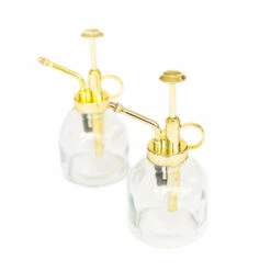 Tillandsia Air Plant Mister 9 Tillandsia Air Plant Mister -Air Plant World supplyairplantmister