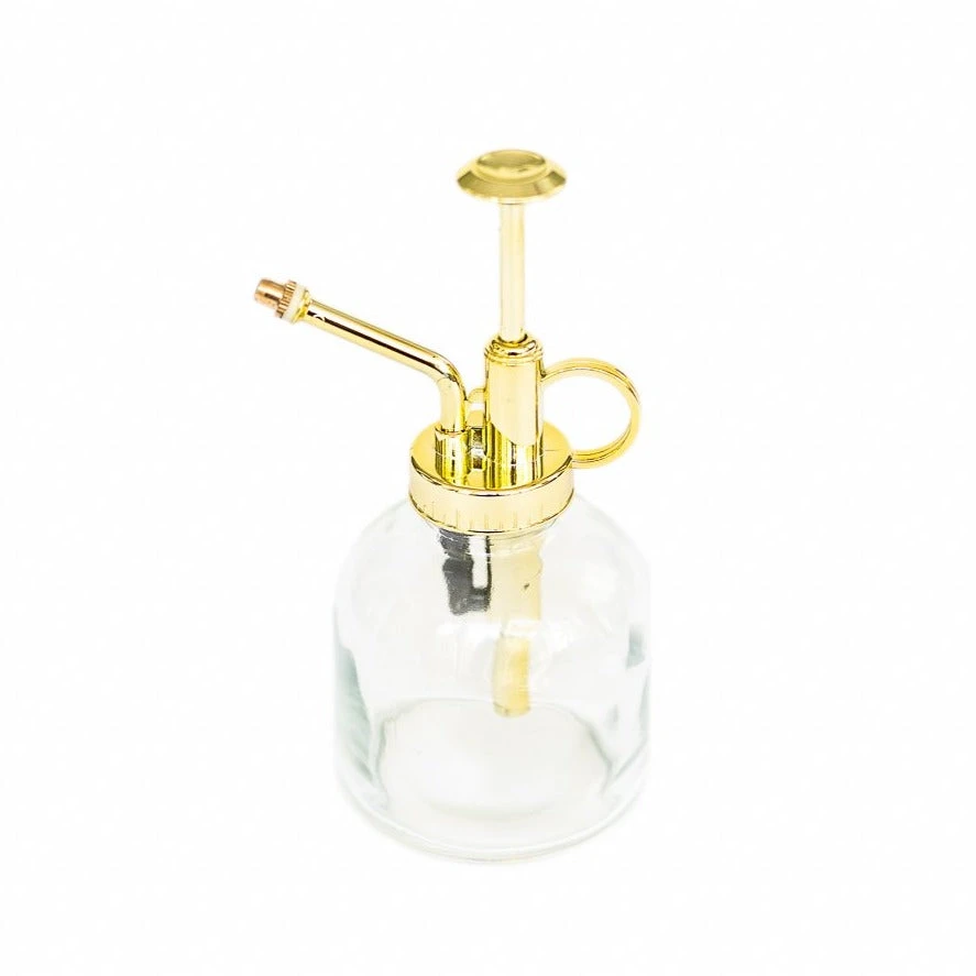 Tillandsia Air Plant Mister 1 Tillandsia Air Plant Mister