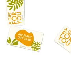Air Plant Supply Co. E-Gift Card